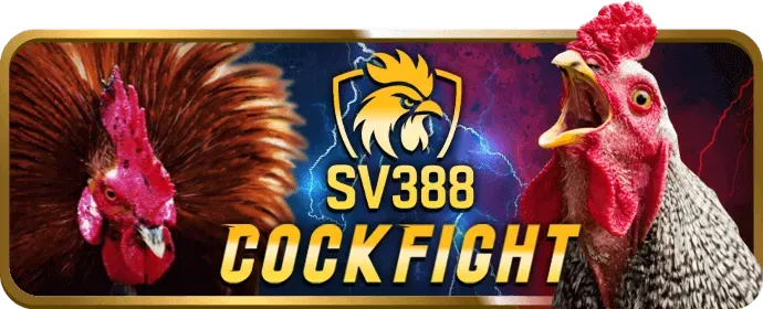 Tiền thưởng chào mừng sss666 cho người chơi casino trực tuyến