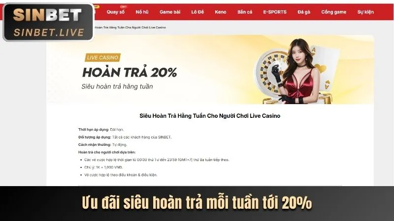 Hình ảnh tổng quan các chương trình khuyến mãi và ưu đãi của sss666